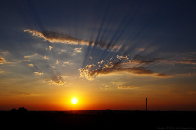 Sunset Rays