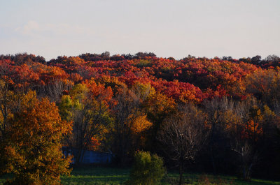 Fall Colors Near Evona