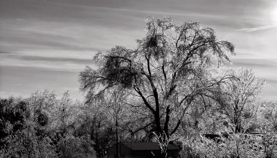 Ice Storm & Windmill