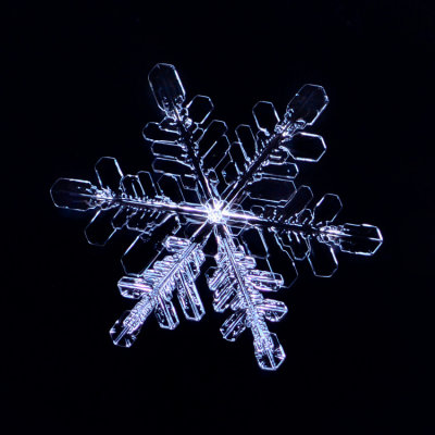 Snowflake #2-Color