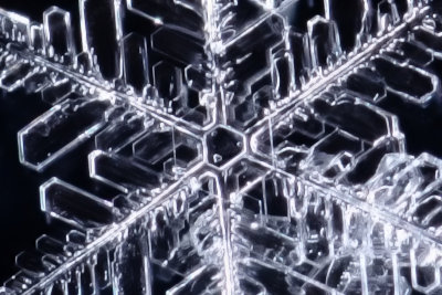 Snowflake Closeup