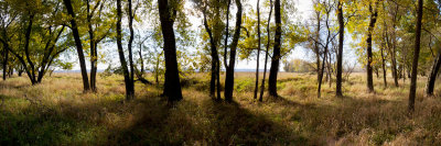 Fall at Squaw Creek