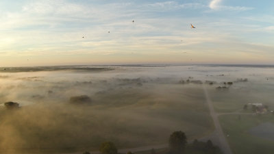 Sunday Morning Fog Display