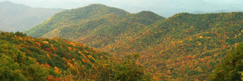 Blue Ridge Parkway