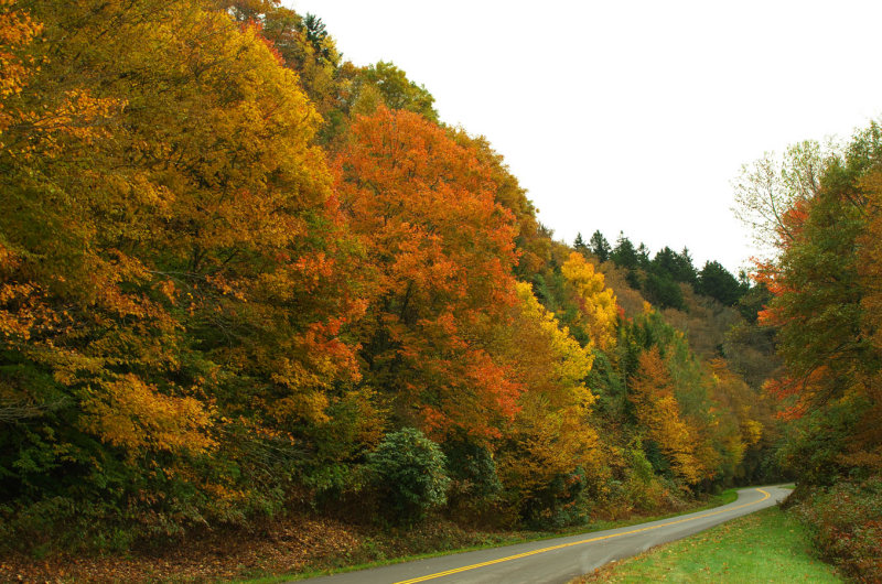 Blue Ridge Parkway