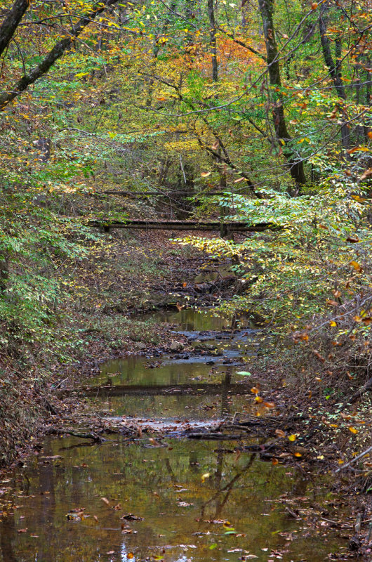 Coon Creek
