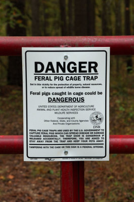 Feral Pig Trap