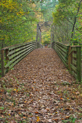 Turkey Creek Trail