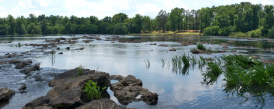 Savannah River (Rocky Shoals)