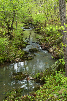 Wine Creek Trail