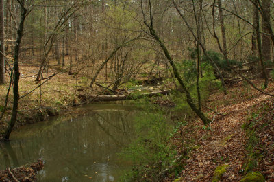 Wine Creek Trail