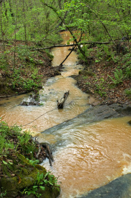 Stevens Creek Heritage Preserve