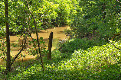 Stevens Creek Heritage Preserve