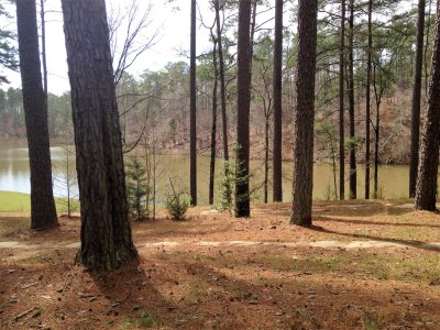 Horn Creek Trail