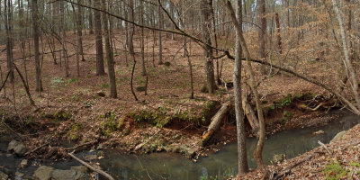 Horn Creek Trail