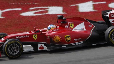 #14 F. Alonso - Ferrari