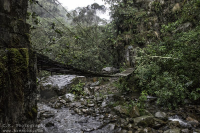 Valle de Cocora Quindio