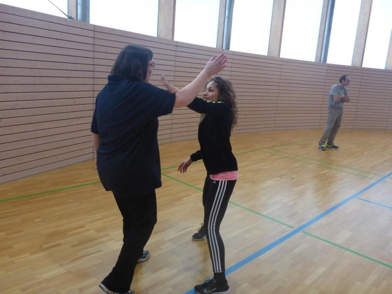 Formation Self-Defense SDC Professeurs St Anne 2016 (93).JPG