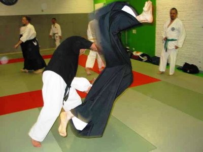 Aikido 2013 (24).jpg