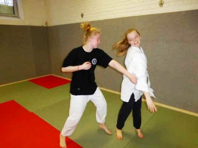 Aikido 2013 (47).jpg