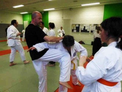 Aikido 2013 (49).jpg