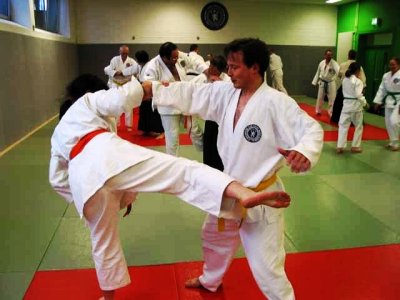 AIKIDO+SDC 2014 (10).jpg