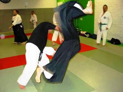 AIKIDO+SDC 2014 (17).jpg