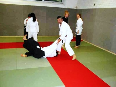 AIKIDO+SDC 2014 (18).jpg