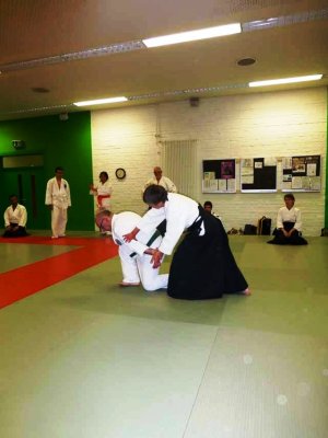 Aikido (35).jpg