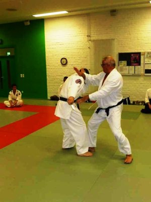 Aikido (40).jpg