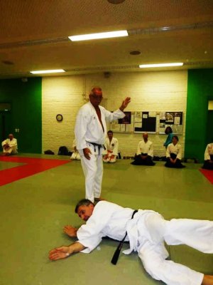 Aikido (41).jpg