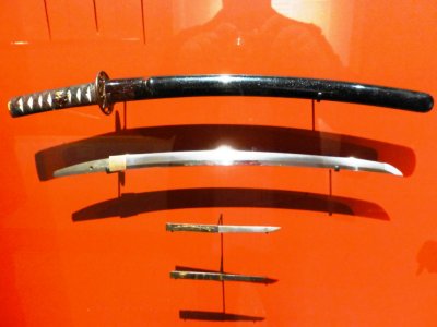 Aikido (36).jpg