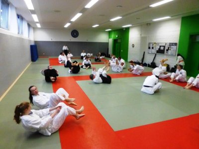 AIKIDO - SDC 2016 (28).JPG