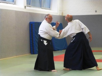 AIKIDO - SDC 2016 (48).JPG