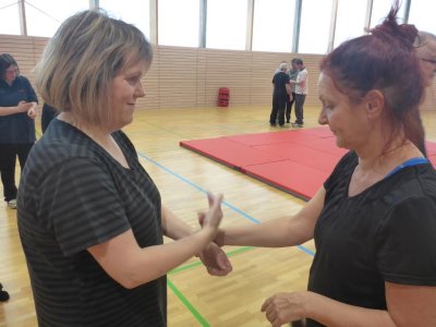 Formation Self-Defense SDC Professeurs St Anne 2016 (157).JPG