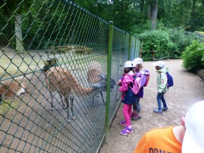 SDC Abschlussfest Kids 2016 Parc Merveilleux Bettembourg  (184).JPG