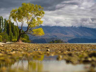 Lake Wanaka