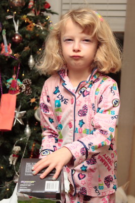 Christmas13_8.JPG