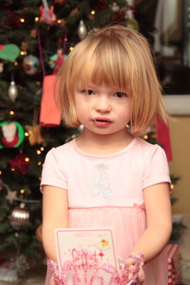 Christmas13_14.JPG