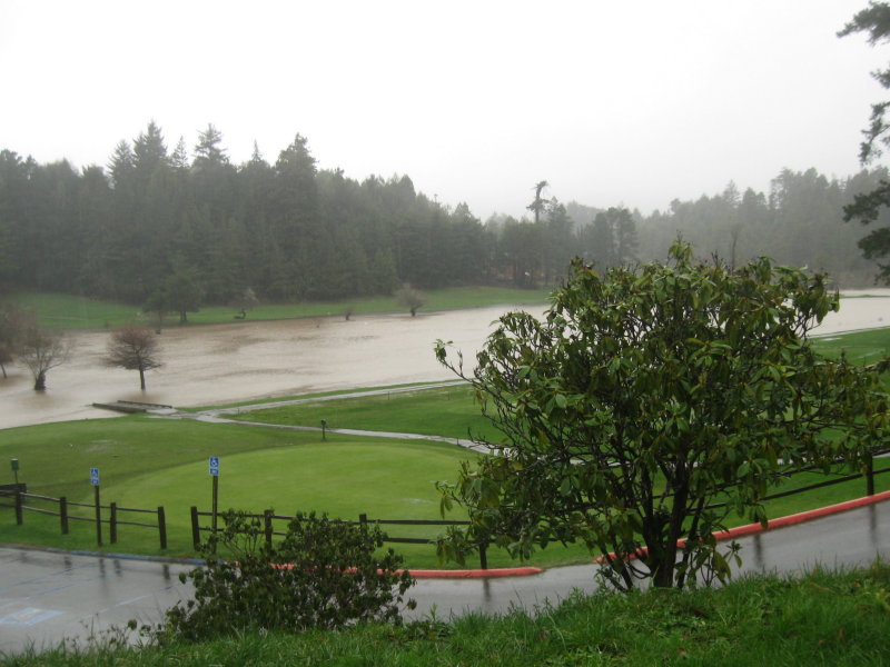 Golf anyone
