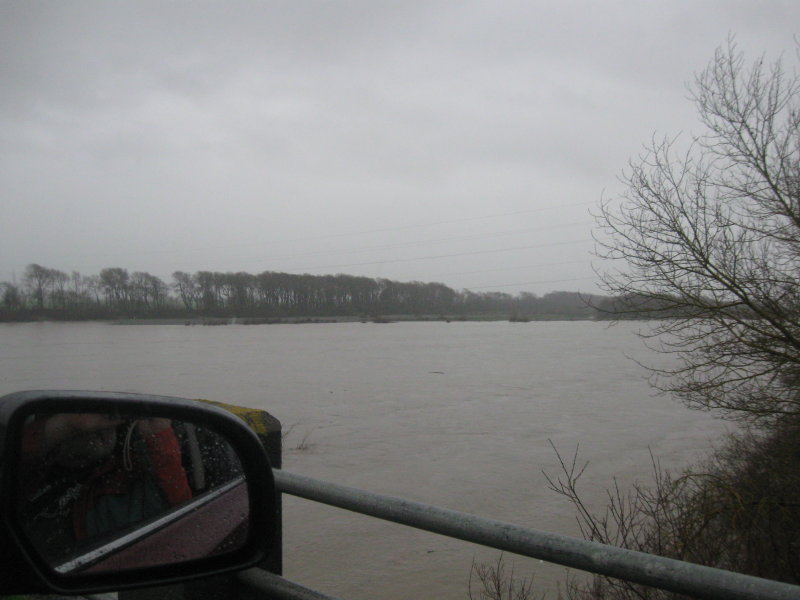 Eel River from Fernbridge 17 jan 2016