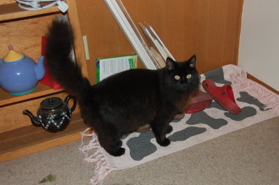 Smudge