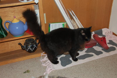 Smudge