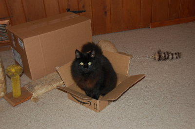 Smudge