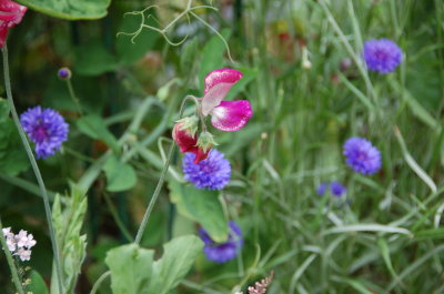 DSC_3632.JPG