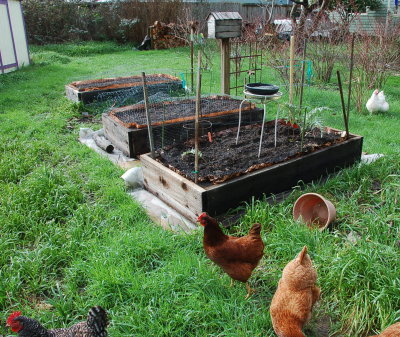 Garden Boxes 2