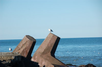 1.1.2016 - Humboldt Bay North Jetty
