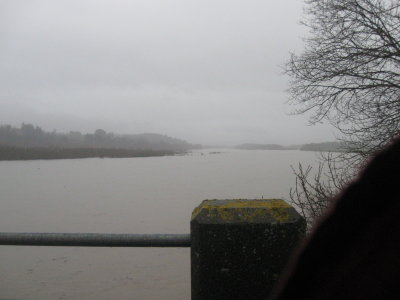 Eel River from Fernbridge 17 jan 2016