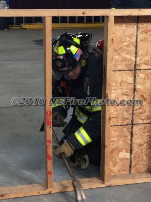 IMG_2593.jpg