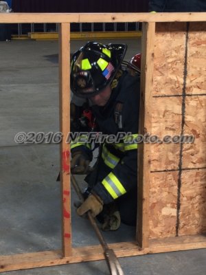 IMG_2594.jpg